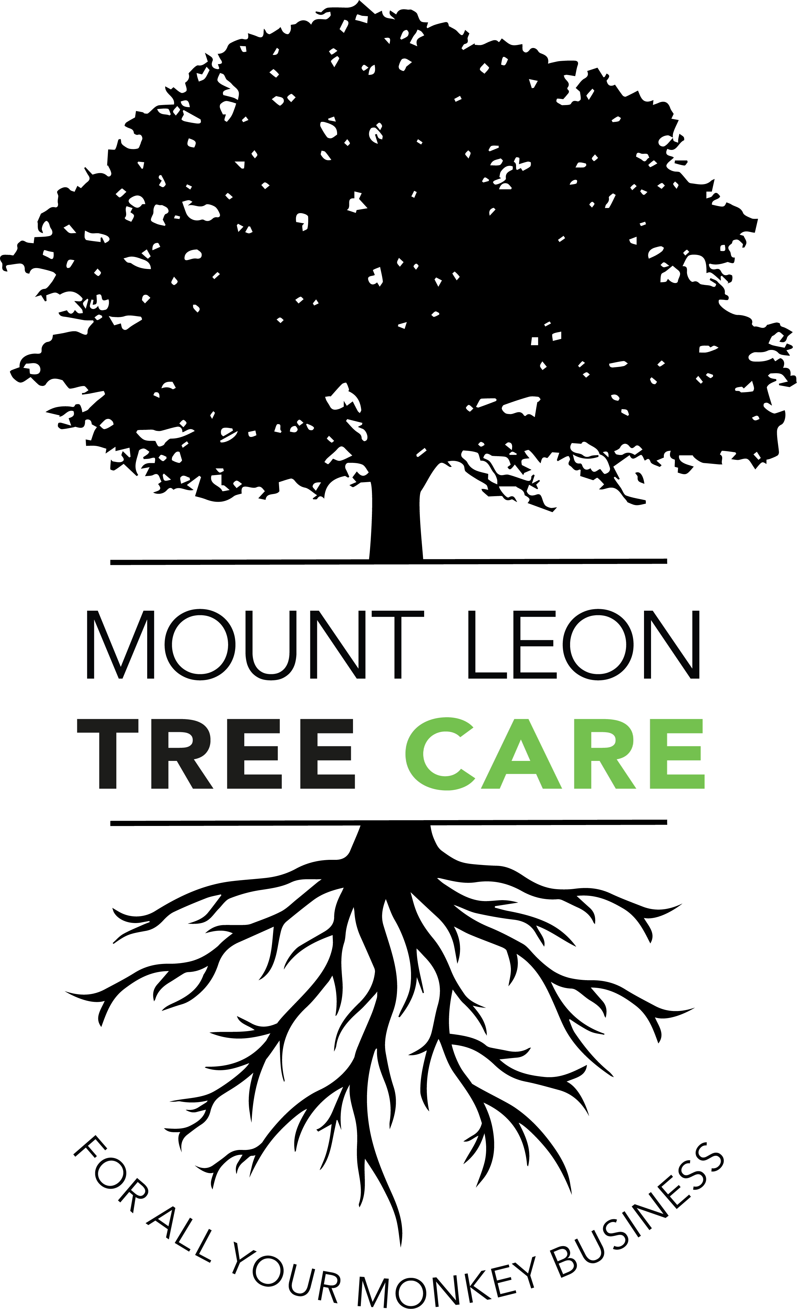 Logo Mount Leon V2