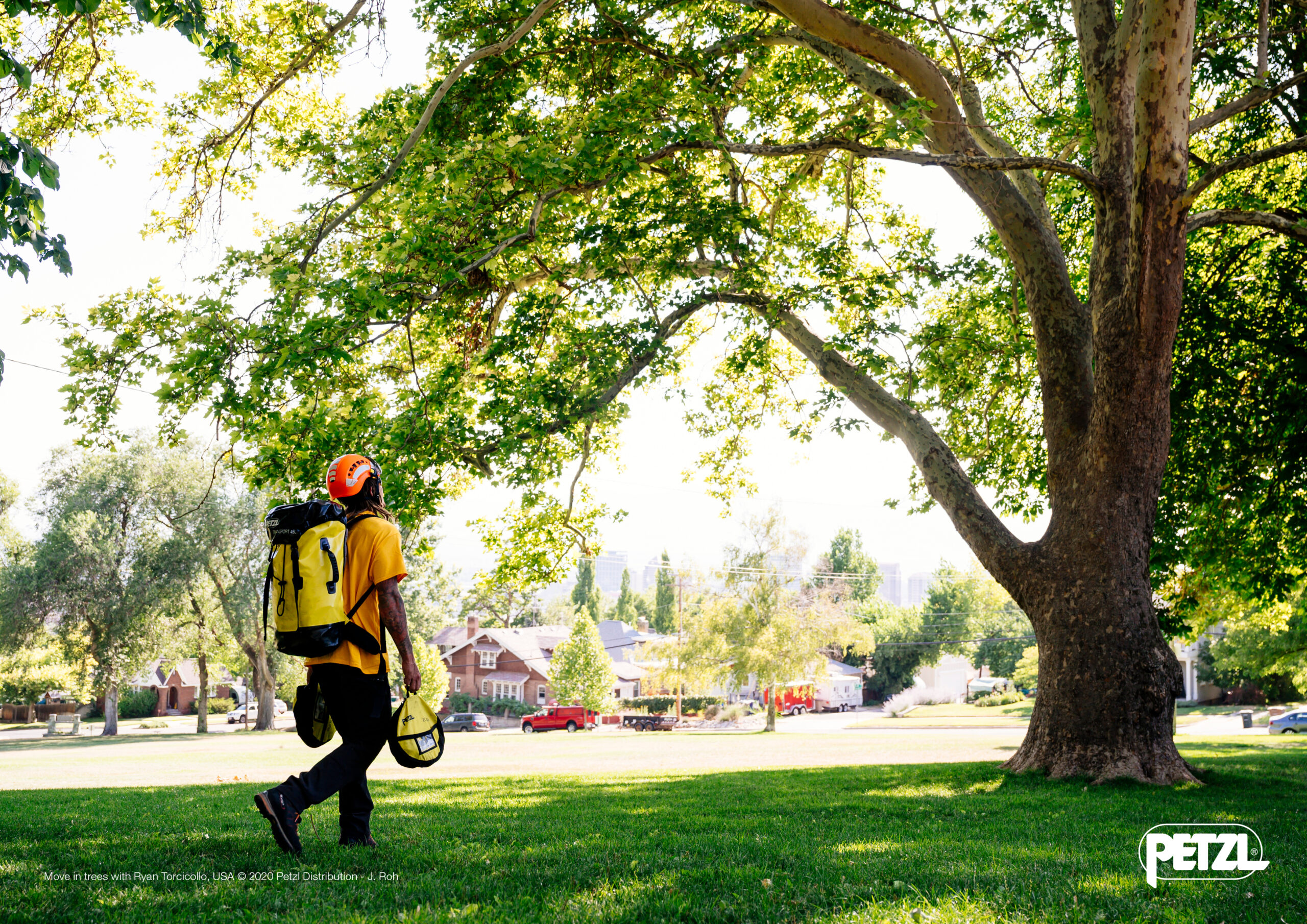 Move in trees with Ryan Torcicollo USA – France Use only with Petzl logo and © 2020 – PETZL DISTRIBUTION – JROH – With Logo – 4_1118_20_LD_AL